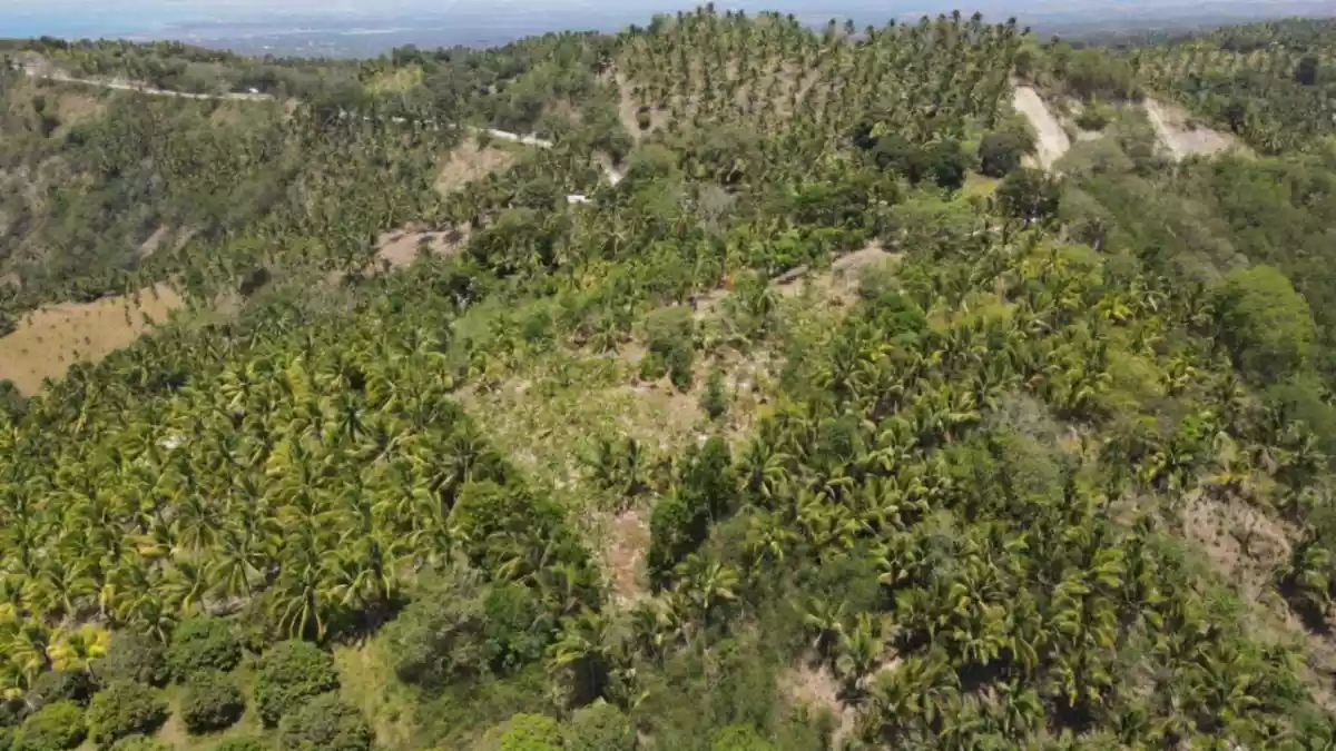 For Sale: Agricultural Lot in Bagacay, Alabel — 37292 sqm — Agricultural Lot in Alabel, Sarangani Province, Bagacay — Photo 4