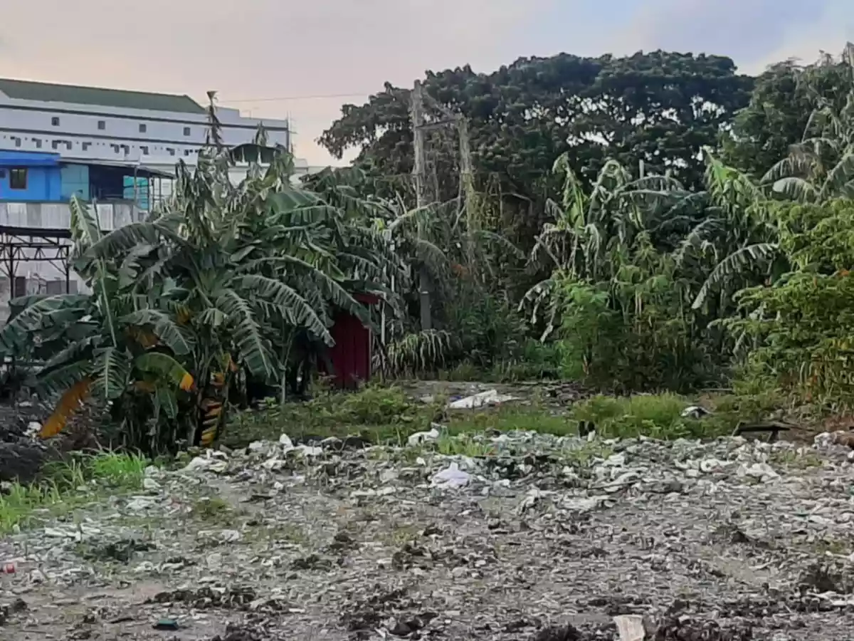 NICE LOCATION LOW PRICE RESIDENTIAL LOT NEAR VILLAR CITY - photo 3