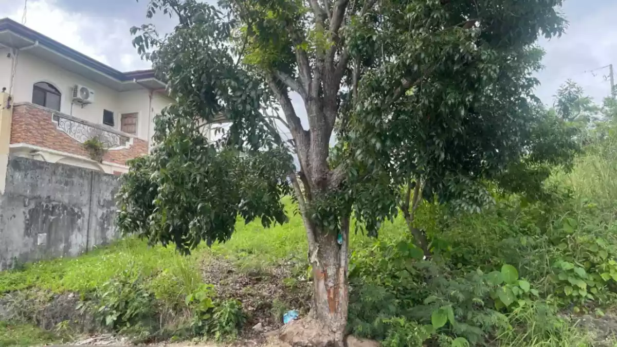 Lot for Sale in Vista Grande with City View — Residential Lot in Talisay City, Cebu, 6045 — Photo 6