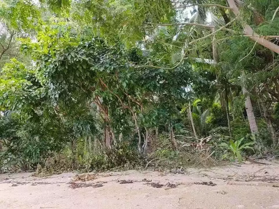 ELNIDO. PALAWAN - Exclusive Beachfront Lot for SALE - photo 4