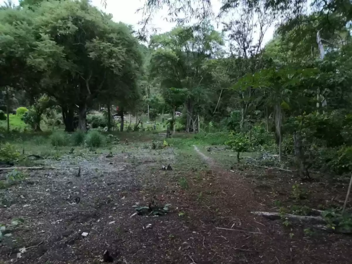 For Sale: Beach Lot in Binduyan, Puerto Princesa City — 6000 sqm — Beach Lot in Puerto Princesa City, Palawan, 5300 — Photo 4