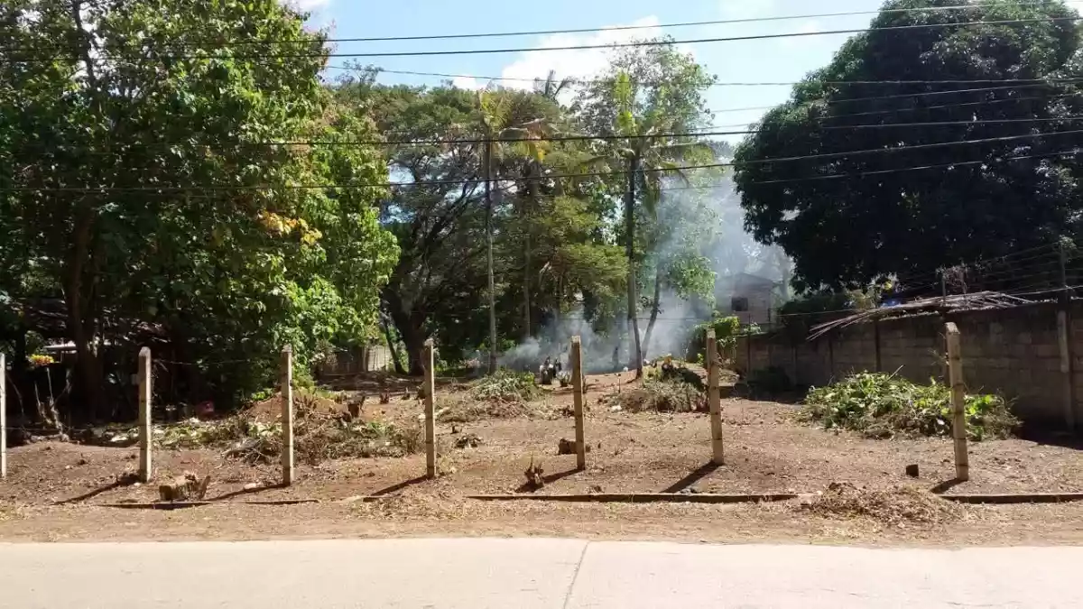 Commercial /Residential lot in Puerto Princesa City Palawan, Philippines - photo 2