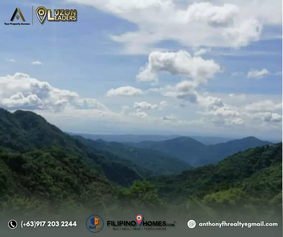 LOT FOR SALE in Tuba, Benguet - photo 5