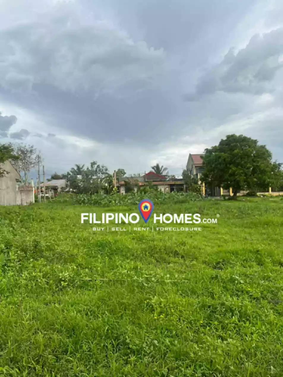 Modern Village - photo 5