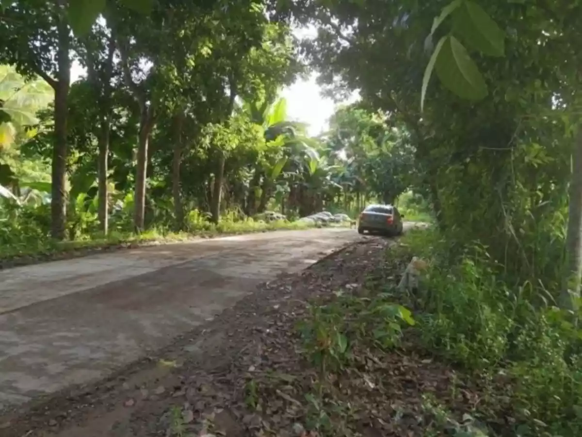 Agricultural Lot in Toledo - photo 4