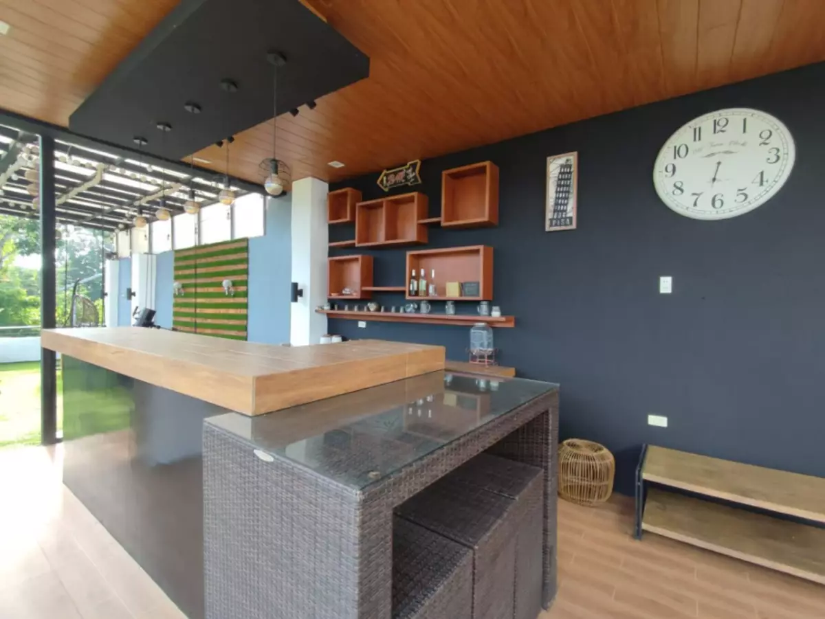 MANSION FOR SALE - photo 5