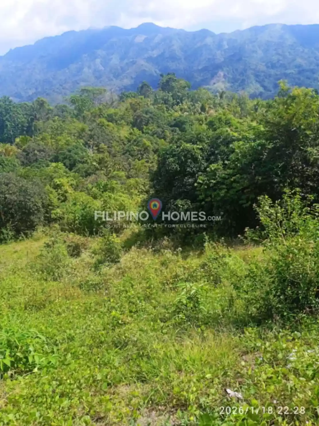Affordable Farm Lot - photo 3