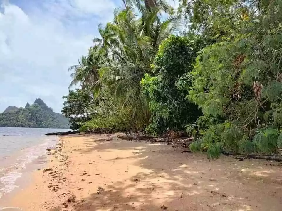 ELNIDO. PALAWAN - Exclusive Beachfront Lot for SALE - photo 5