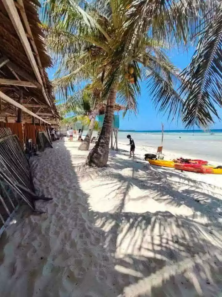 BEACH LOT FOR SALE IN ANDA BOHOL, PHILIPPINES - photo 6