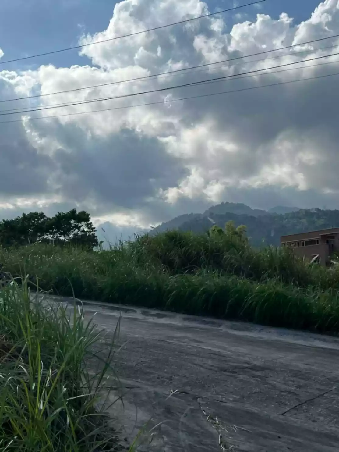 Tierra Alta 204sqm Lot Valencia Dumaguete Negros Oriental — Residential Lot in Valencia, Negros Oriental, 6215 — Photo 4