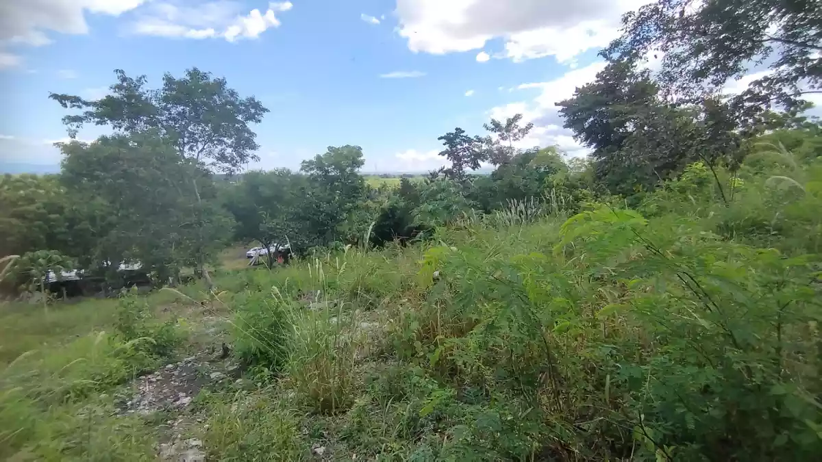 For Sale: Agricultural Lot in Conel, Gen. Santos City — 45987 sqm — Agricultural Lot in Gen. Santos City, South Cotabato, 9500 — Photo 6