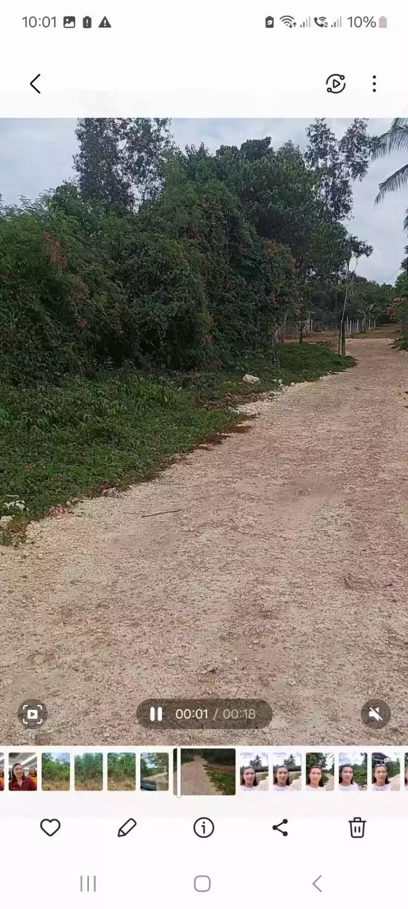 Lot for Sale - photo 3