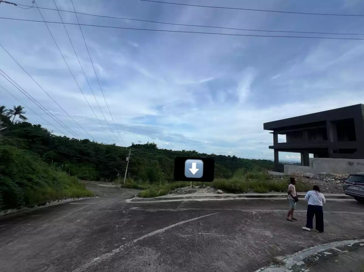 CORNER LOT FOR SALE in VISTA VERDE 📍 Brgy. Sacsac Consolacion - photo 5