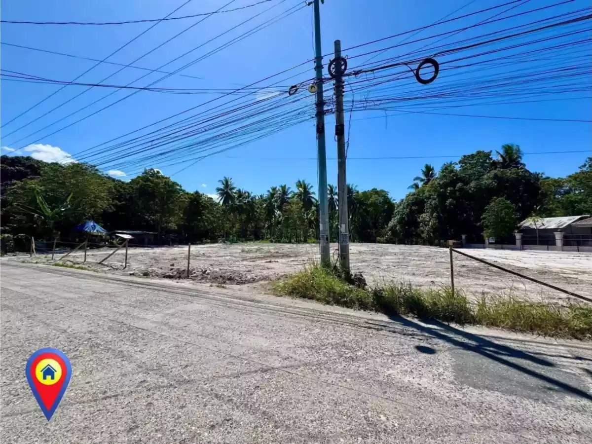 3,143 sqm Amazing Lot Property For Lease - photo 3