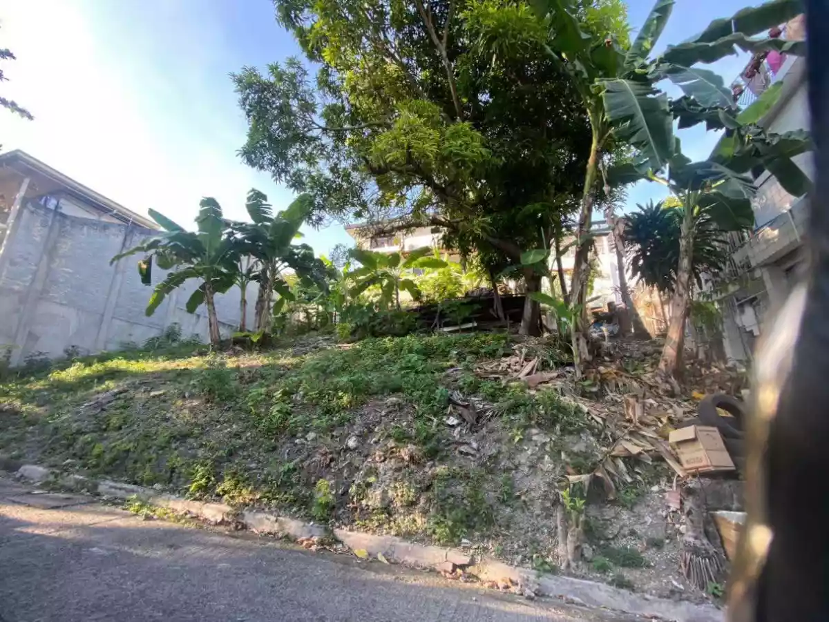 WHITE HILLS BANAWA LOT FOR SALE - photo 6