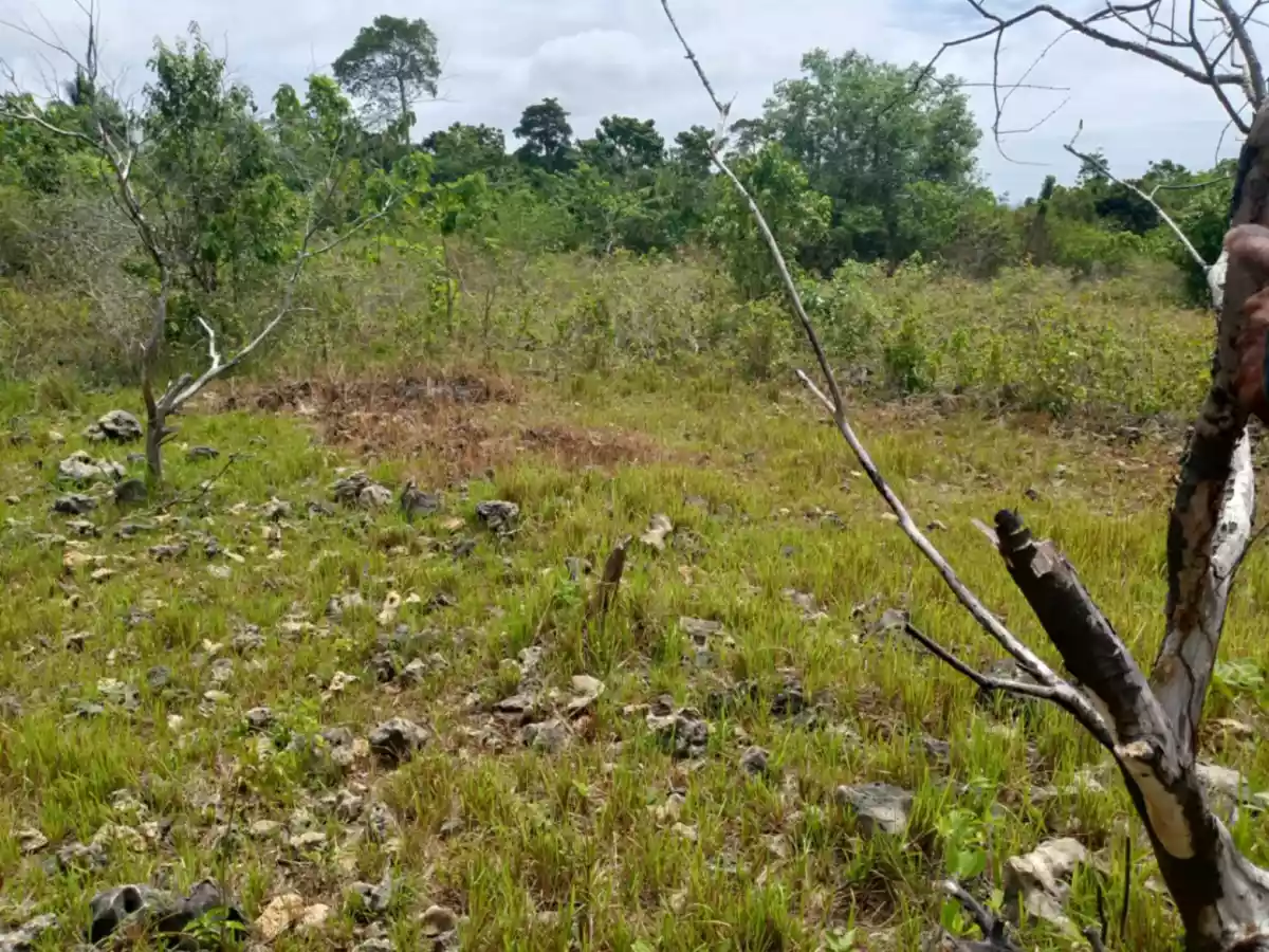 2,600 sqm inner lot for sale in Lazi, Siquijor