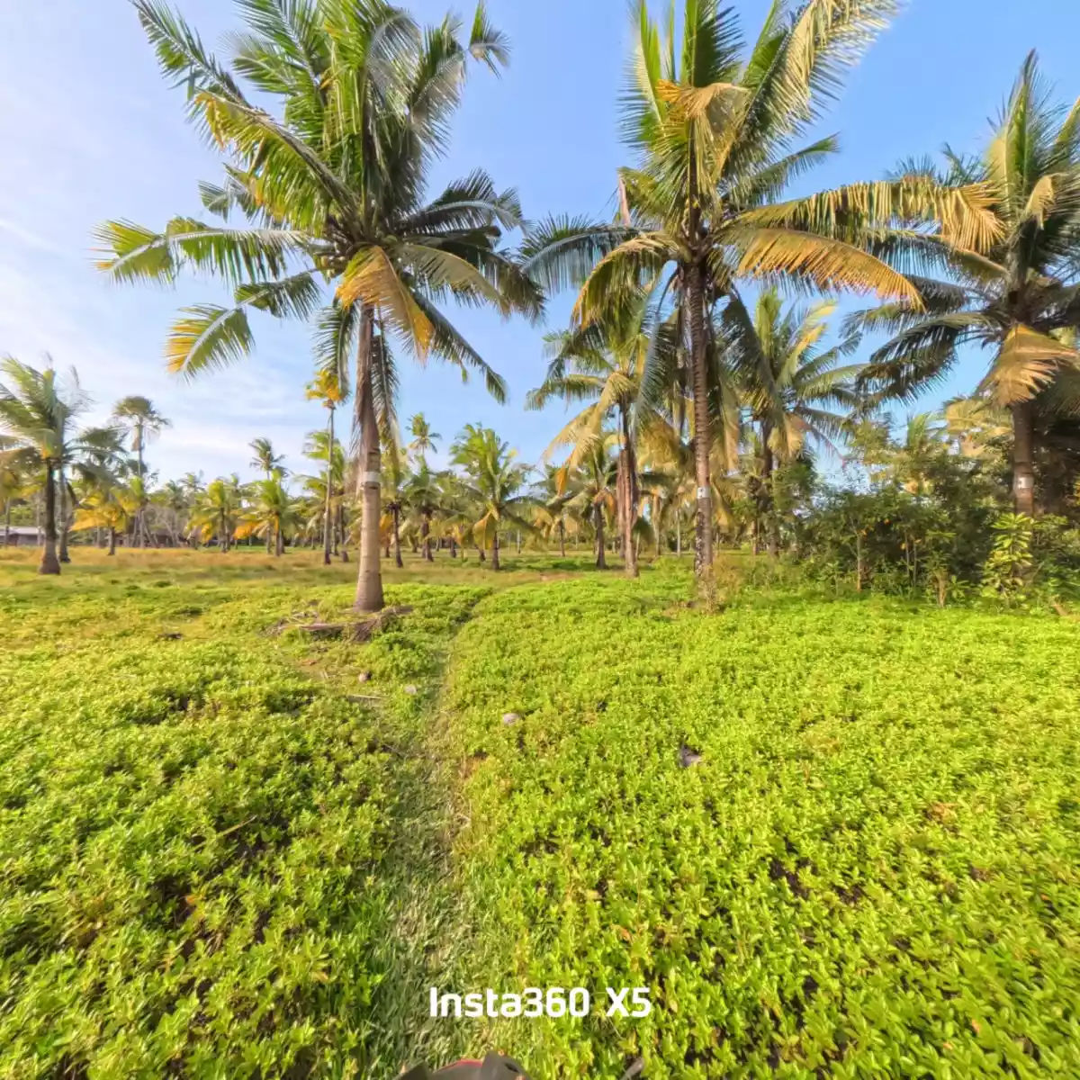 LOT 520 for Sale - photo 6
