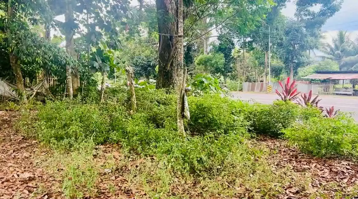 For Sale: Commercial Lot in Tupi South Cotabato – Along National Highway - photo 4