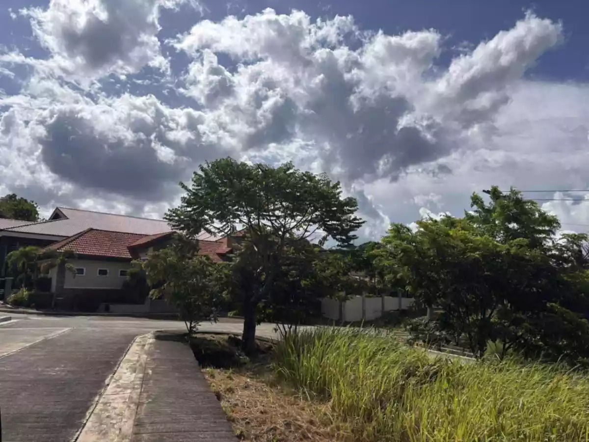 NICE LOCATION 150SQM RESIDENTIAL LOT IN PALAWAN OVERLOOKING HONDA BAY - photo 2