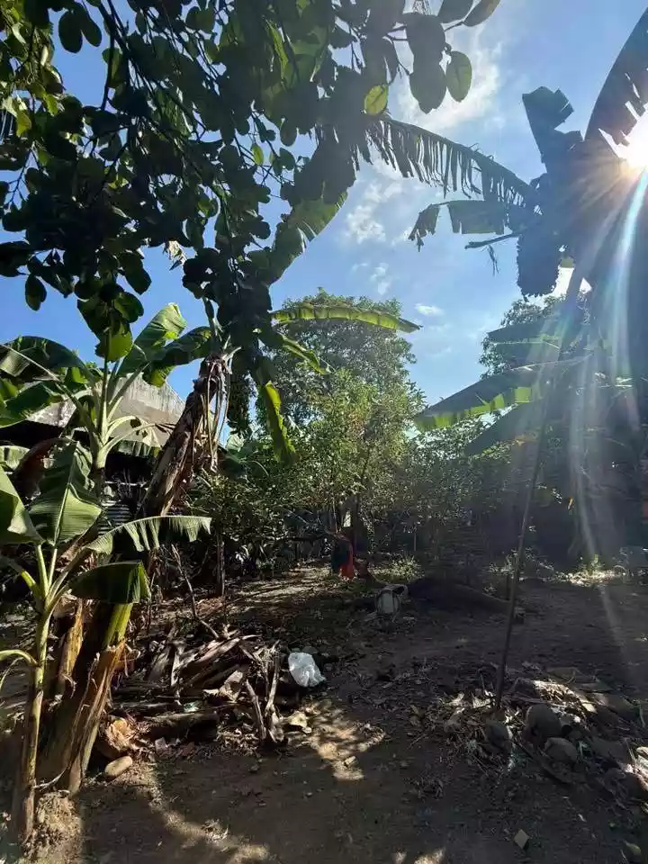 RUSH LOT FOR SALE: 500sqm - photo 4