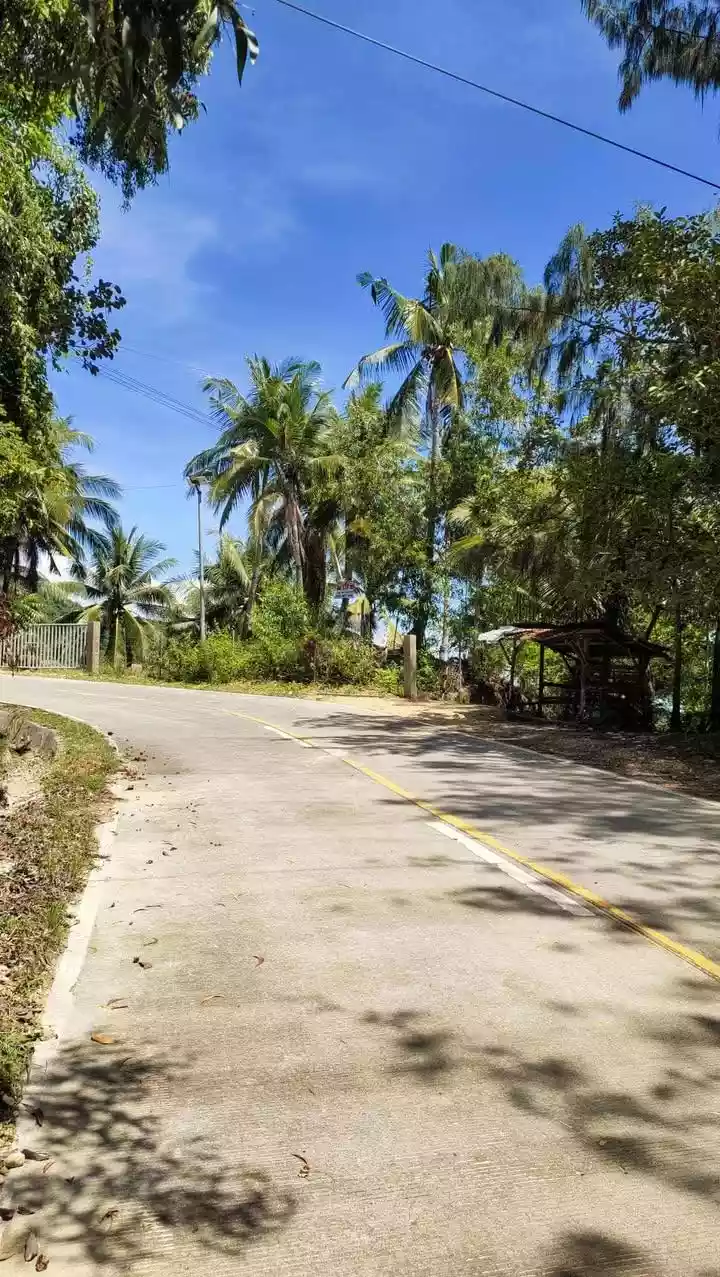 Prime 13,638 sqm Titled Lot for Sale in Boljoon, Cebu – Panoramic Mountain & Sea View - photo 5
