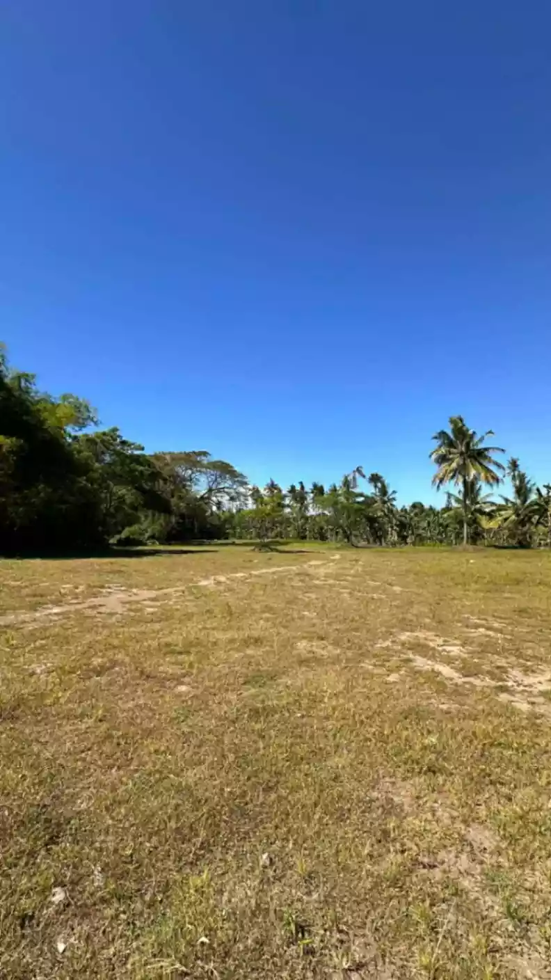 Residential Lot For Sale In Balugo, Dumaguete City - photo 2