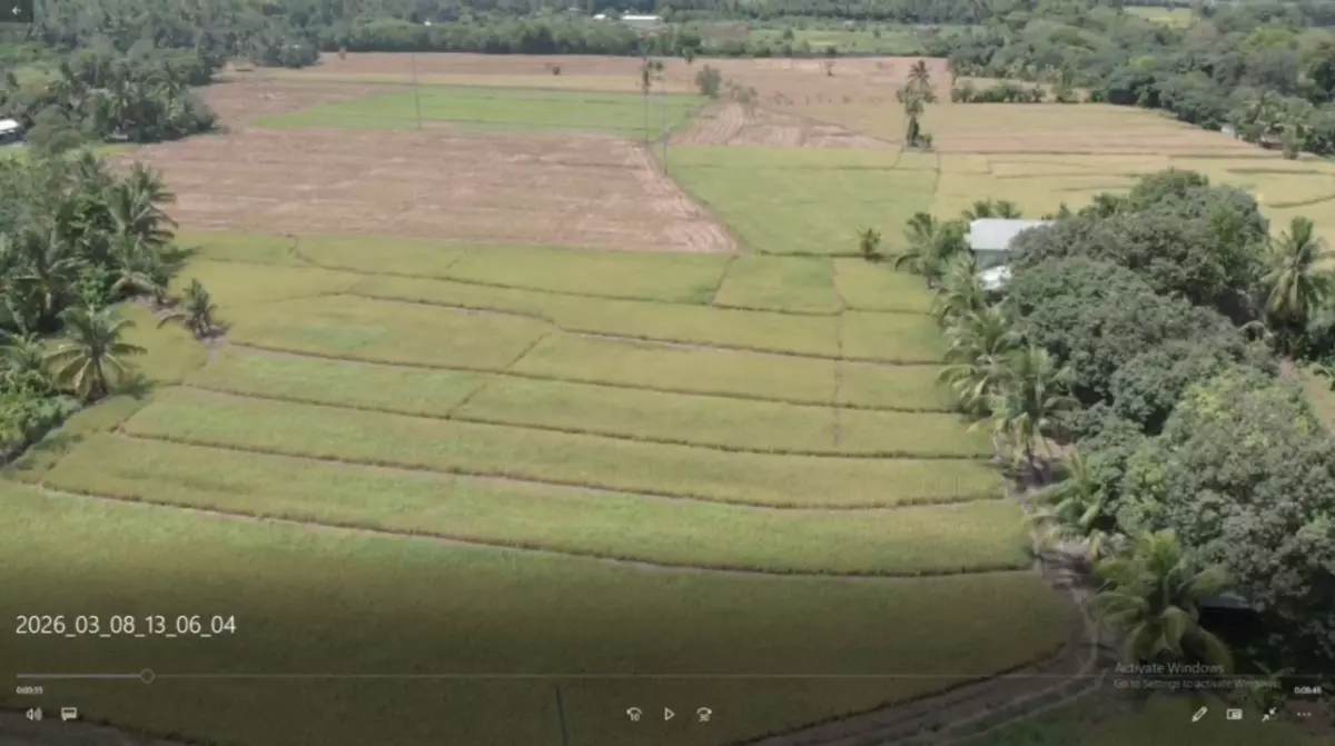 For Sale: Agricultural Lot in Matti, Digos — 40000 sqm along road — Agricultural Lot in Digos, Davao del Sur, 8002 — Photo 2