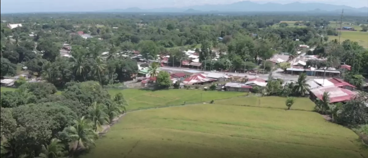 For Sale: Agricultural Lot in Matti, Digos — 40000 sqm along road — Agricultural Lot in Digos, Davao del Sur, 8002 — Photo 3