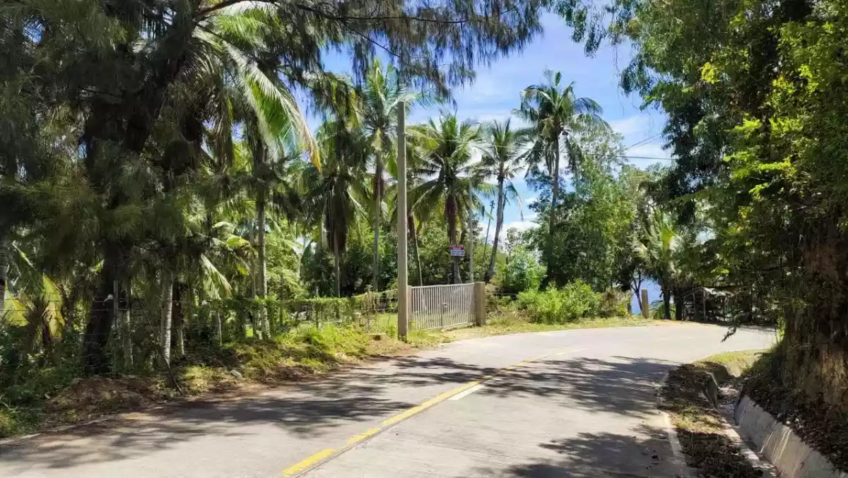 Prime 13,638 sqm Titled Lot for Sale in Boljoon, Cebu – Panoramic Mountain & Sea View - photo 7