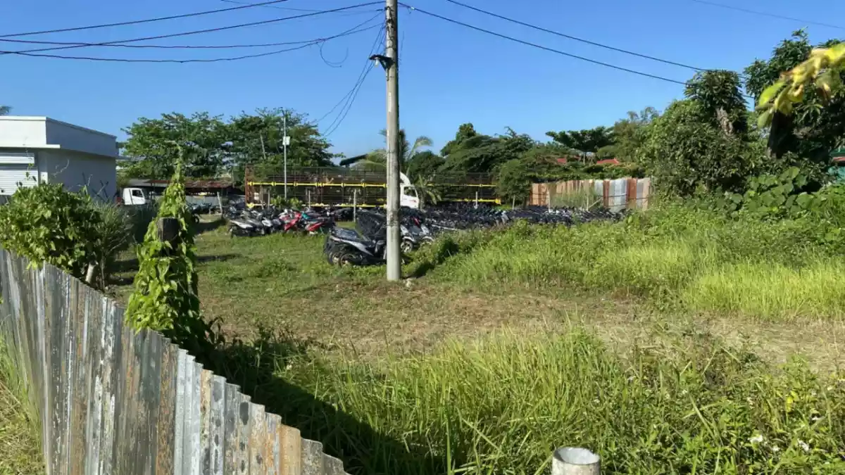 Spacious Lot Along Main Road in Tayud, Liloan - photo 2