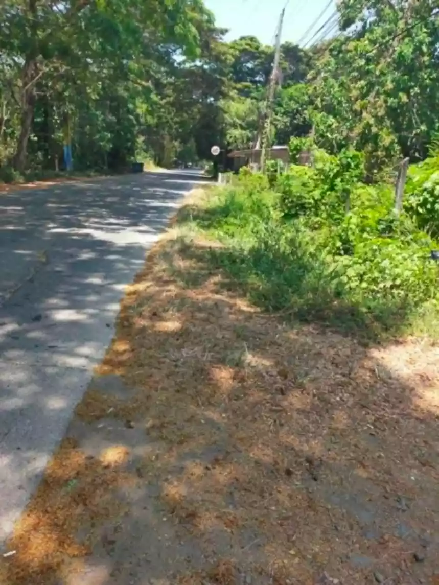 Commercial /Residential lot in Puerto Princesa City Palawan, Philippines - photo 5