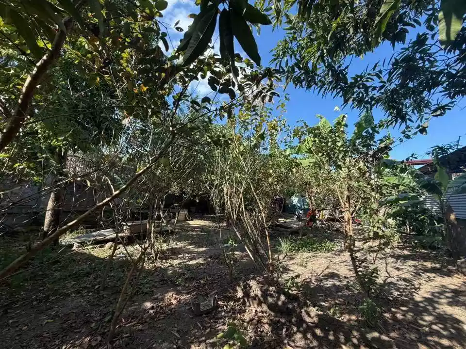 RUSH LOT FOR SALE: 500sqm - photo 5