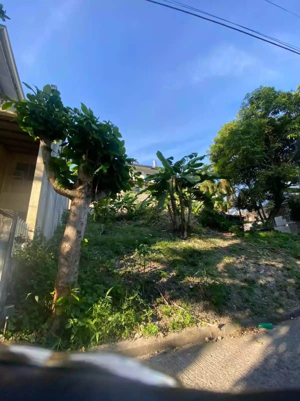 WHITE HILLS BANAWA LOT FOR SALE - photo 5