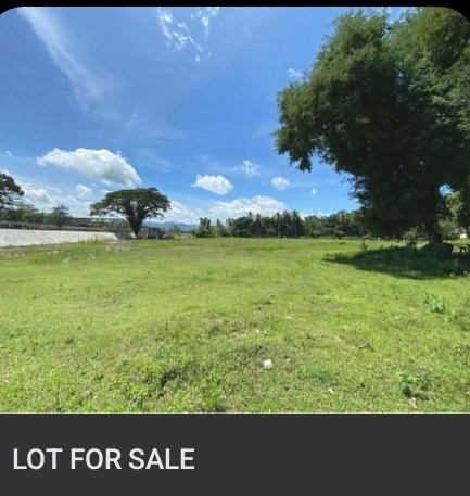 For Sale: Agricultural Lot in Linabo, Malaybalay City — 10000 sqm — Agricultural Lot in Malaybalay, Bukidnon, 8700 — Photo 6