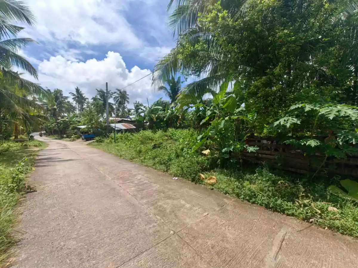 1,768 SQM FLAT TERRAIN LOT FOR SALE SAIN DALAGUETE CEBU - photo 4
