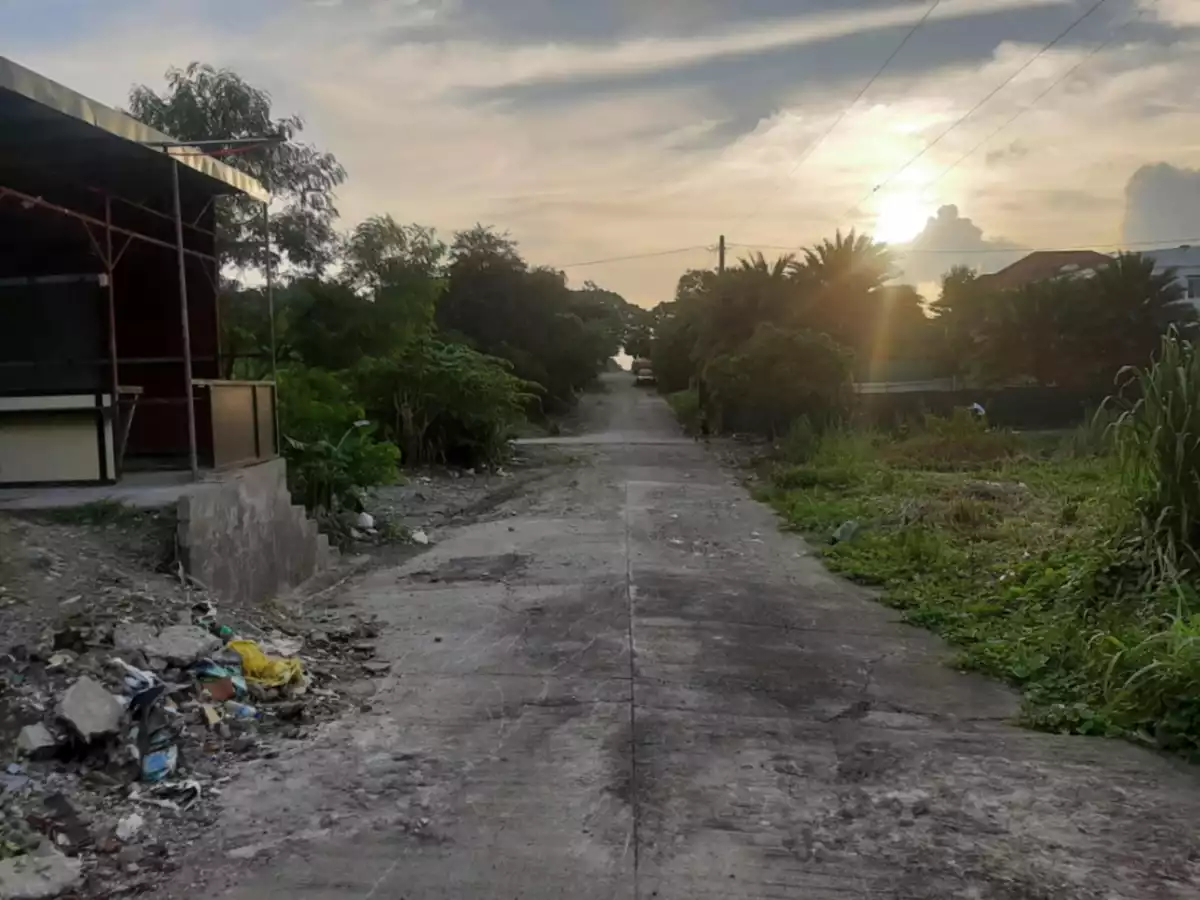 NICE LOCATION LOW PRICE RESIDENTIAL LOT NEAR VILLAR CITY - photo 6