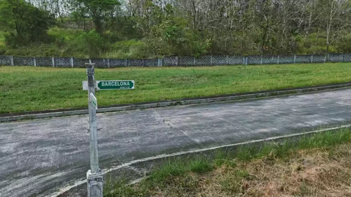 For Sale: Residential Lot in San Jose del Monte Bulacan - photo 3
