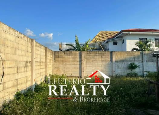 Residential Lot Coke Ville San Felipe - photo 4