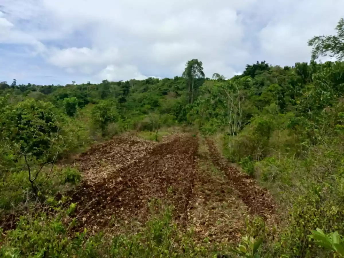 2,600 sqm inner lot for sale in Lazi, Siquijor - photo 6