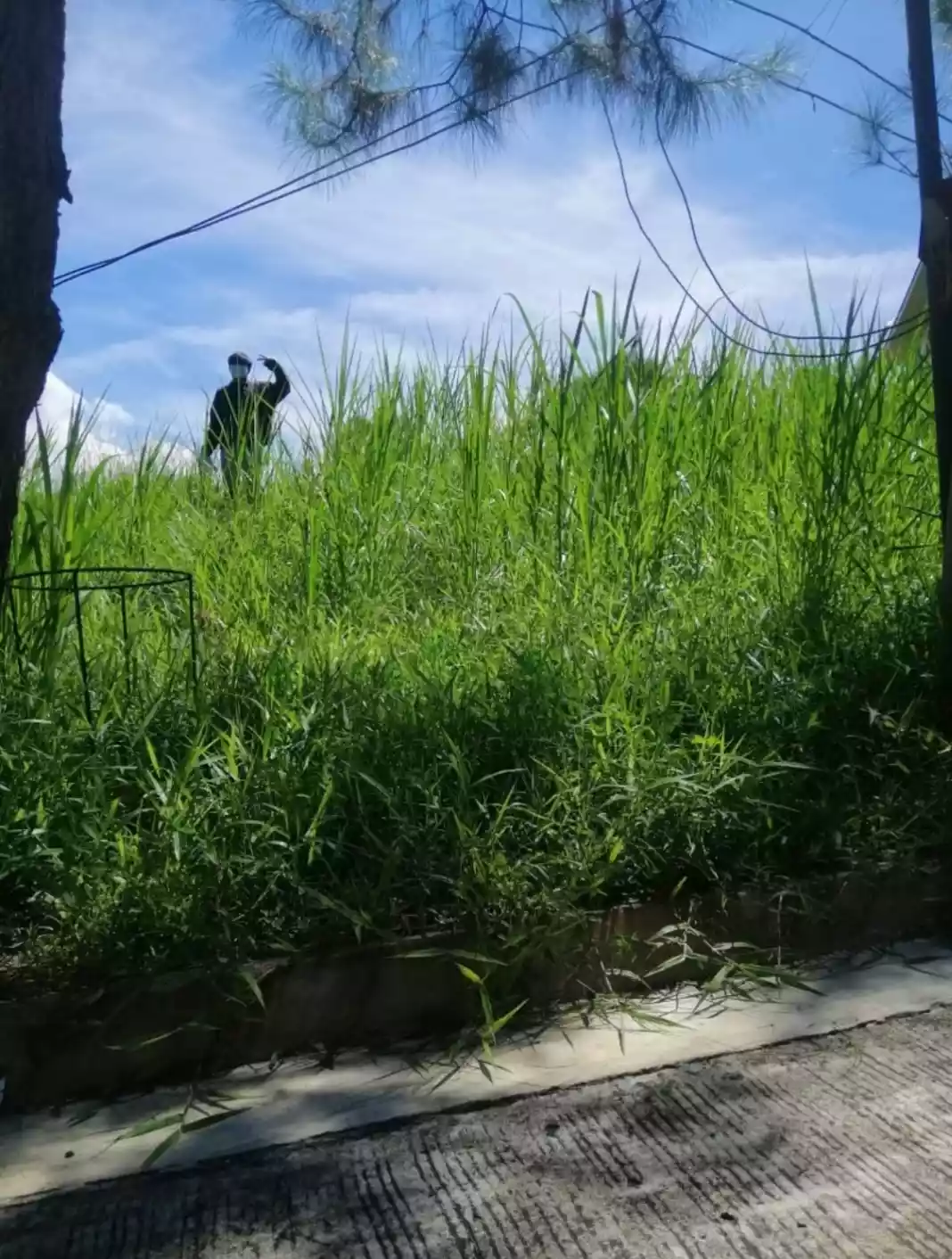 LOW PRICE PRIME CORNER RESIDENTIAL LOT INSIDE CROSSWINDS TAGAYTAY - photo 3