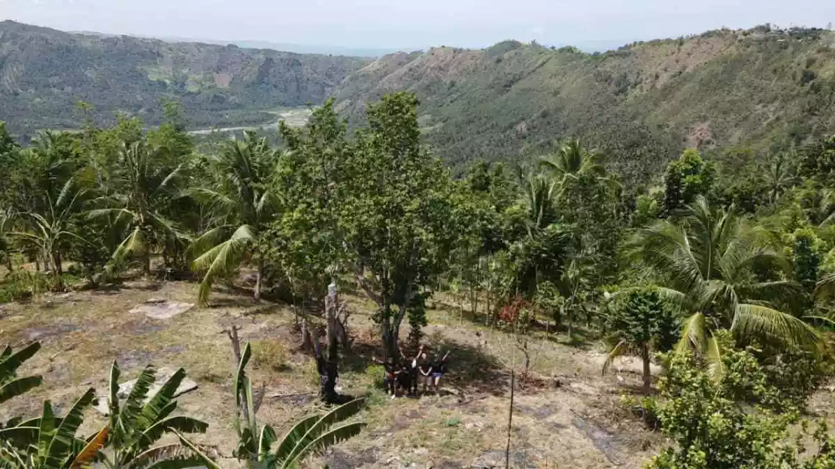 For Sale: Agricultural Lot in Bagacay, Alabel — 37292 sqm — Agricultural Lot in Alabel, Sarangani Province, Bagacay — Photo 3