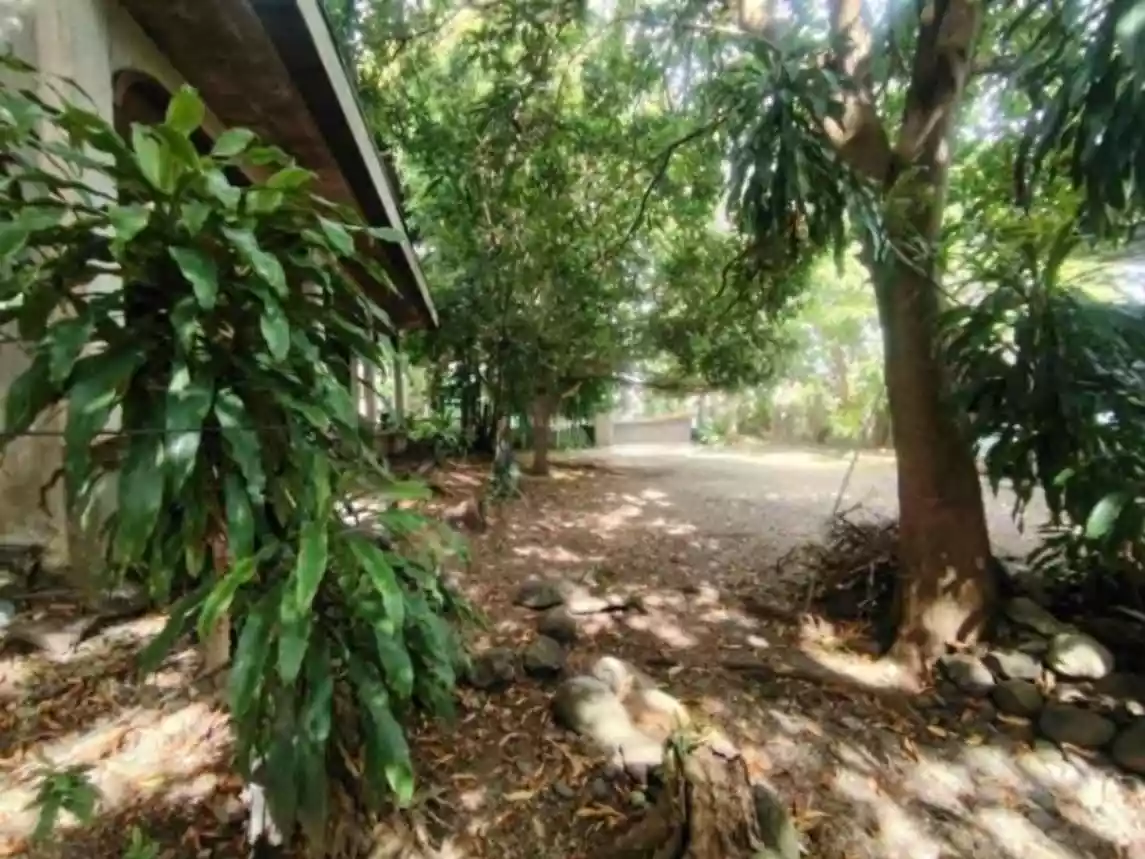 House and Lot in the heart of Tanjay City - photo 7