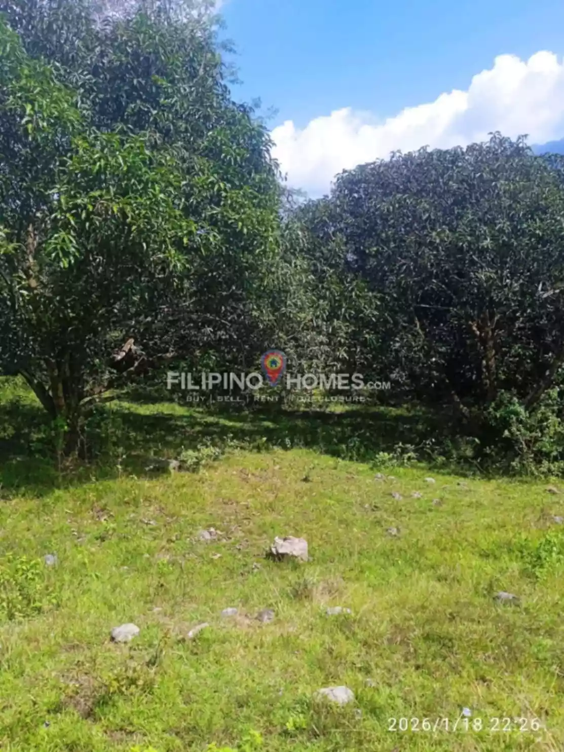 Affordable Farm Lot - photo 6