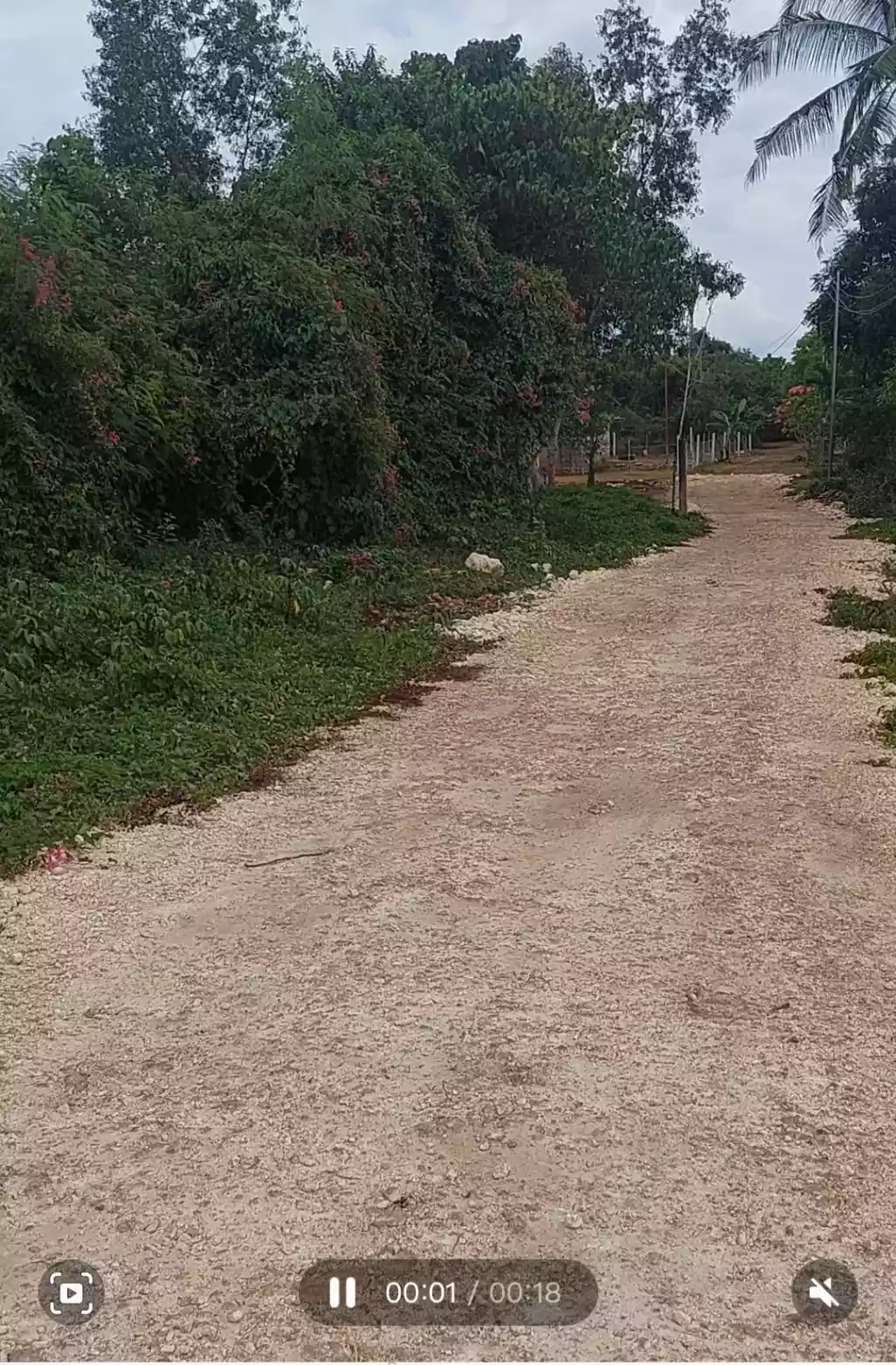 Lot for Sale - photo 6