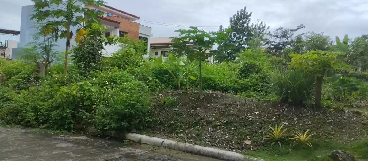 CORNER LOT FOR SALE in Maryville Heights, Talamban - photo 7