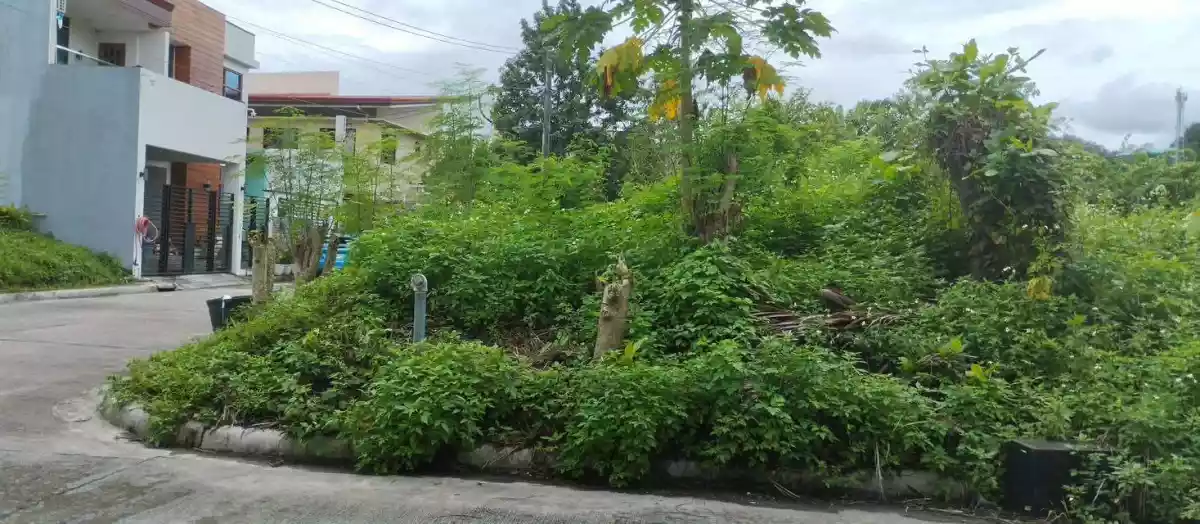 CORNER LOT FOR SALE in Maryville Heights, Talamban - photo 6