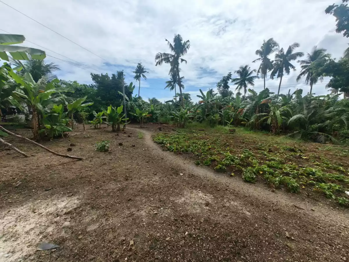 1,768 SQM FLAT TERRAIN LOT FOR SALE SAIN DALAGUETE CEBU - photo 7