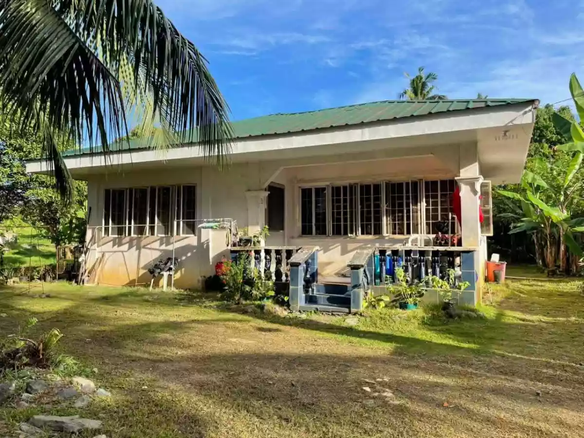 Perfect location for your new Home -House and lot for sale, In the Heart of Puerto Princesa City Palawan - photo 3