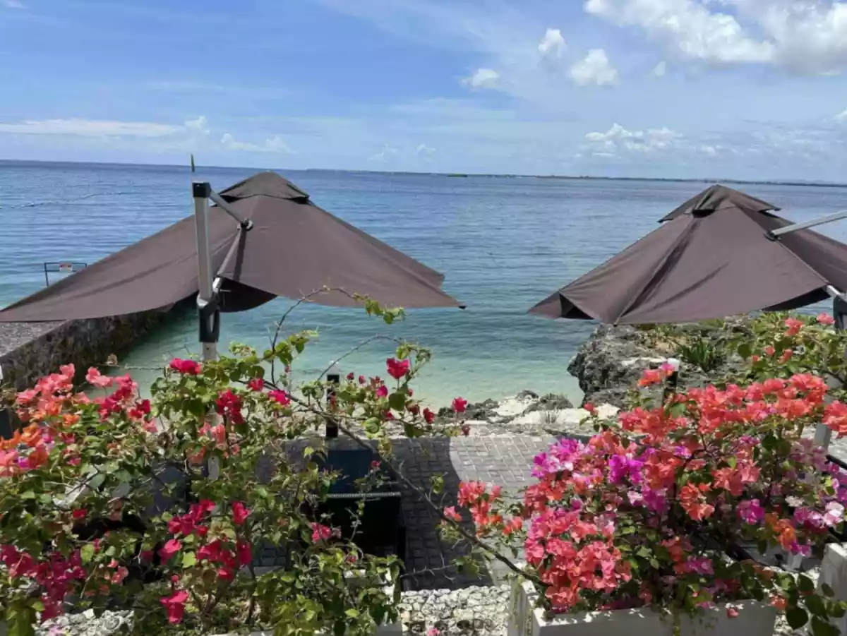 FOR RENT & FOR SALE : FULLY FURNISHED STUDIO CONDO UNIT WITH BEACHFRONT ACCESS IN THE REEF RESIDENCES MACTAN, LAPU-LAPU CEBU - photo 5