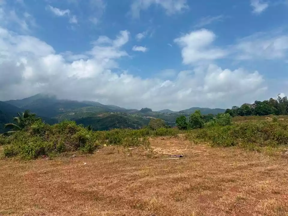 For Sale: 7,500sqm Lot in Jantianon, Amlan Negros Oriental Dumaguete – Seaview and Mountain Views - photo 3
